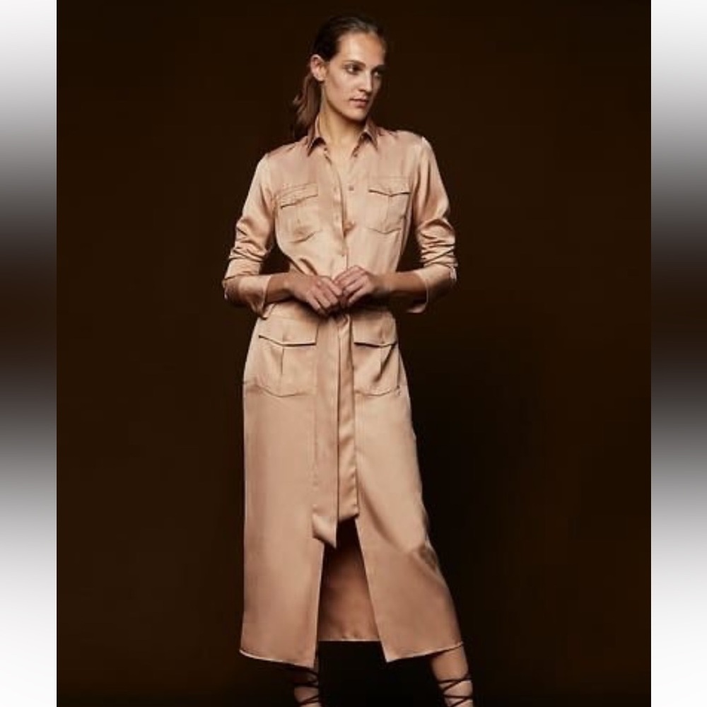 Zara Long collared Shirt Dress With Pockets, S $110
